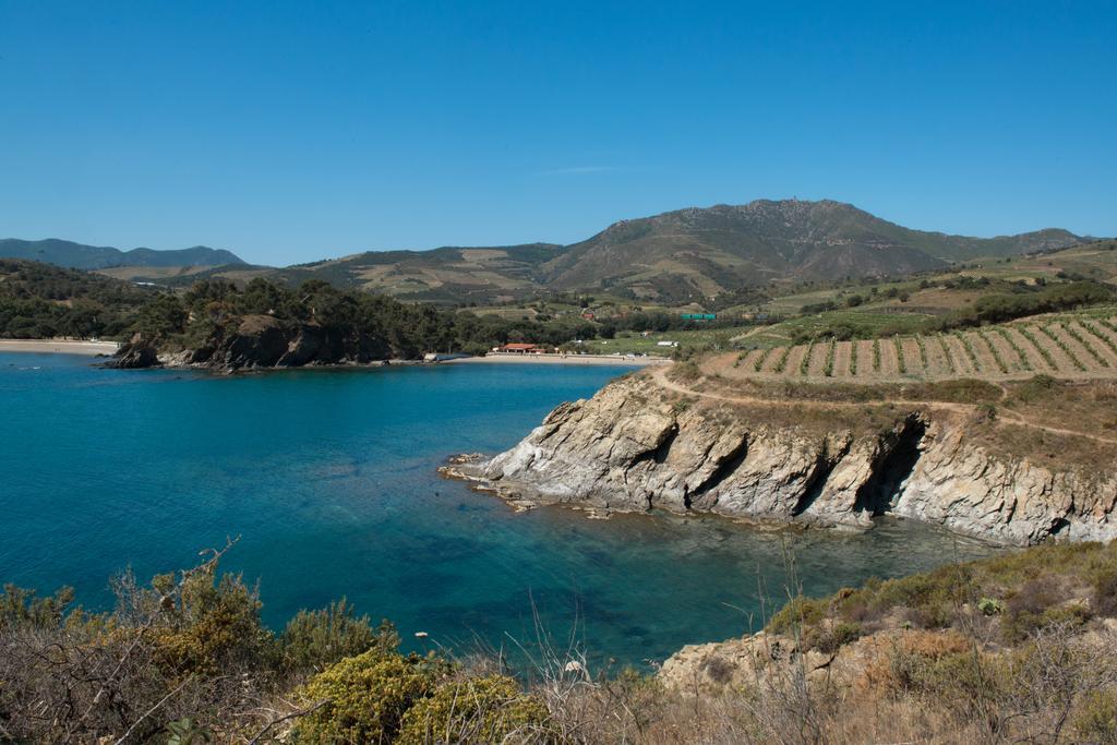阿尔伯雷斯露营地 Laroque-des-Albères 外观 照片
